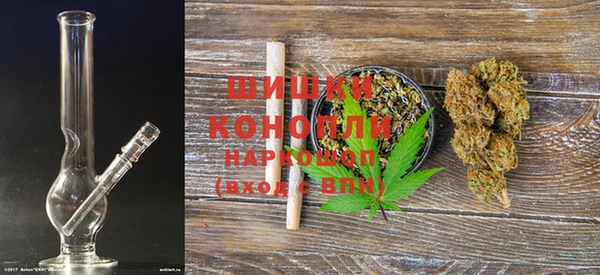 дживик Володарск