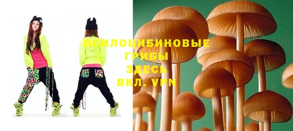 бошки Волосово
