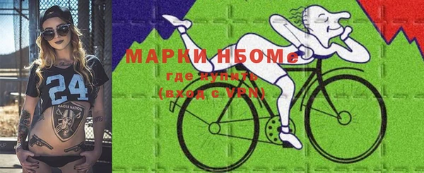 дживик Володарск