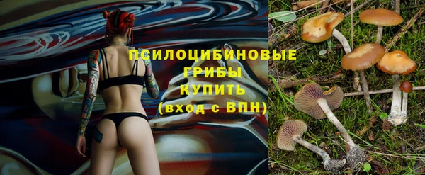 дживик Володарск