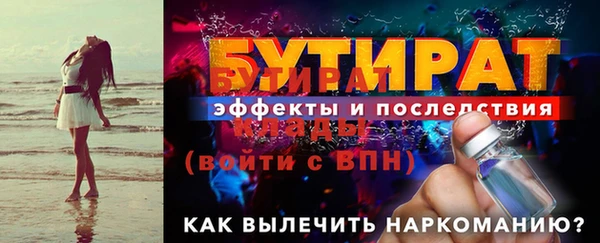 сатива Ростов