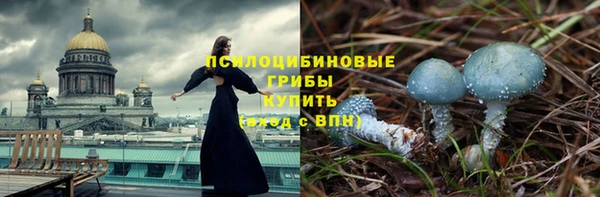 дживик Володарск